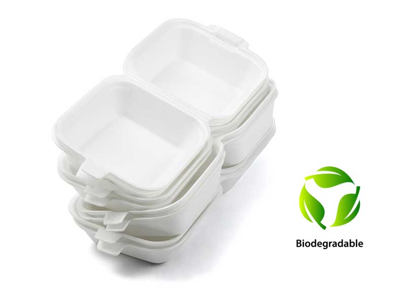 desechables-biodegradables-guadalajara
