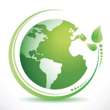 Venta de Productos Desechables Biodegradables
